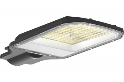 Светильник уличный LED NEOX ДКУ-02L, 50 Вт, 5000 К, 125 лм/Вт, IP65