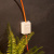 Розетка компьютерная REXANT, внешняя, 1-порт, RJ45, 8P8C, UTP, категория 5e, неэкранированная