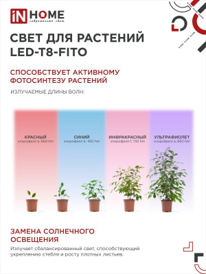 Лампа LED IN HOME T8-FITO, G13, 10 Вт, 600 мм, для растений