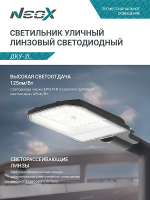 Светильник уличный LED NEOX ДКУ-02L, 70 Вт, 5000 К, 125 лм/Вт, IP65, 8750 лм